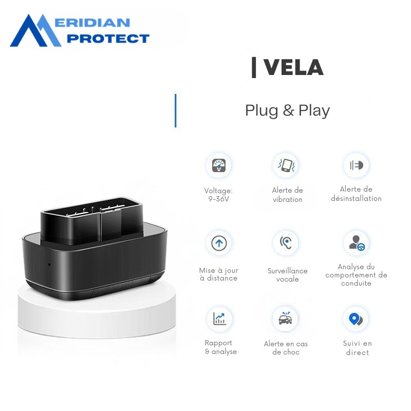 Vela